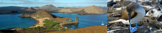 Celebrity Galapagos Islands Cruises