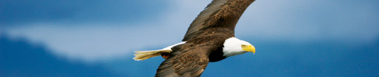 Cruise West Alaska Cruisetours