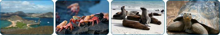 Galapagos Cruises