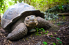 Galapagos Avalon Waterways River Cruises