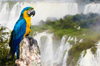 South America Cruises on Costa
