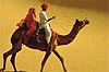 Africa Cruises on Silversea