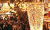 10 Nt Christmas Wonderland