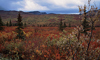 13 Night Escorted Alaska Cruisetour