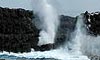 11 Night Galapagos Island Cruisetour