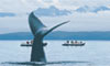  7 Nt Alaska's Inside Passage