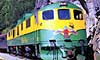 12 Nt Escorted Klondike, Denali & Inside Passage
