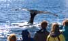 12 Day Alaska's Inside Passage & Canadian Rockies Cruisetour