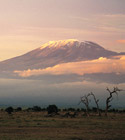 iCruise.com destination Africa.