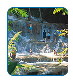 iCruise.com answers your questions about Shore Excursions.