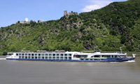 Avalon Felicity